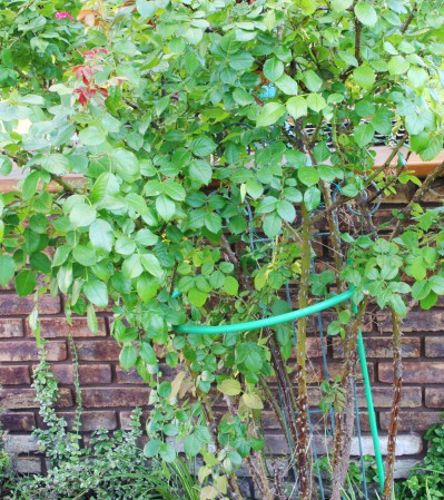 Подставка под цветы