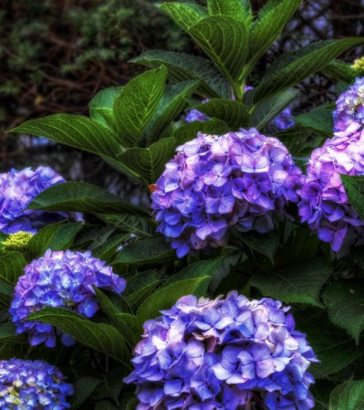 Заборчик "Прямой"